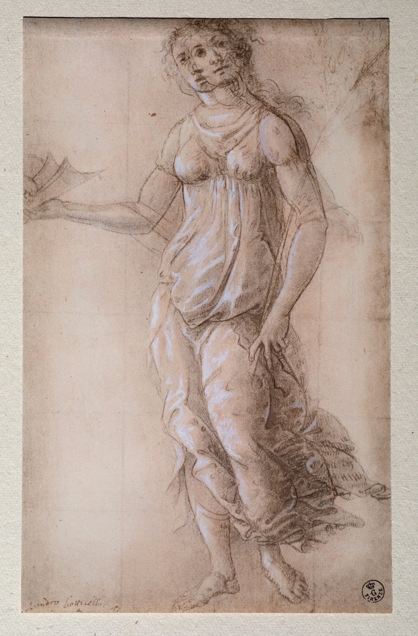 Pallas (Tegning, etter 1491) av Sandro Botticelli