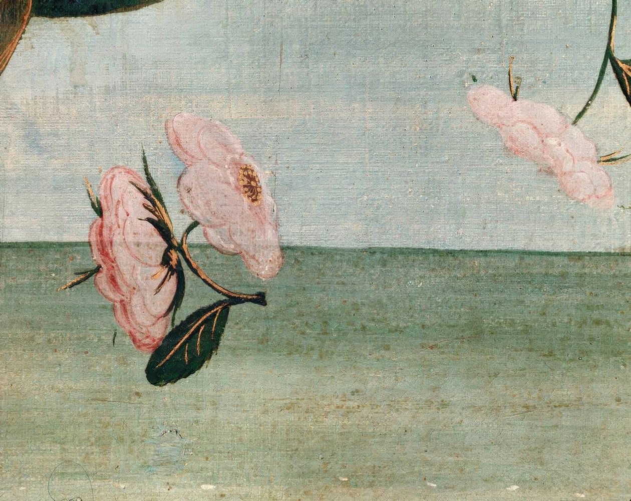 Venus