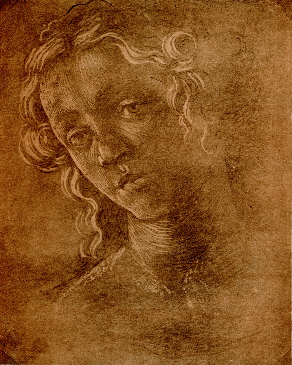 Kvinnelig hode av Sandro Botticelli