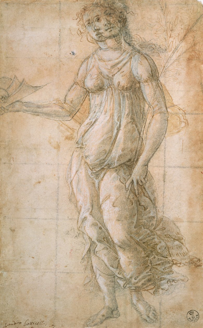 Studie av Athene (tegning) av Sandro Botticelli