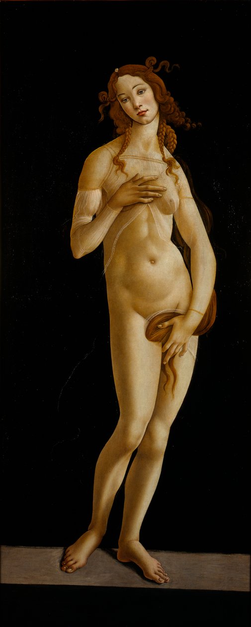 Venus Pudica, ca 1485-1490. av Sandro Botticelli