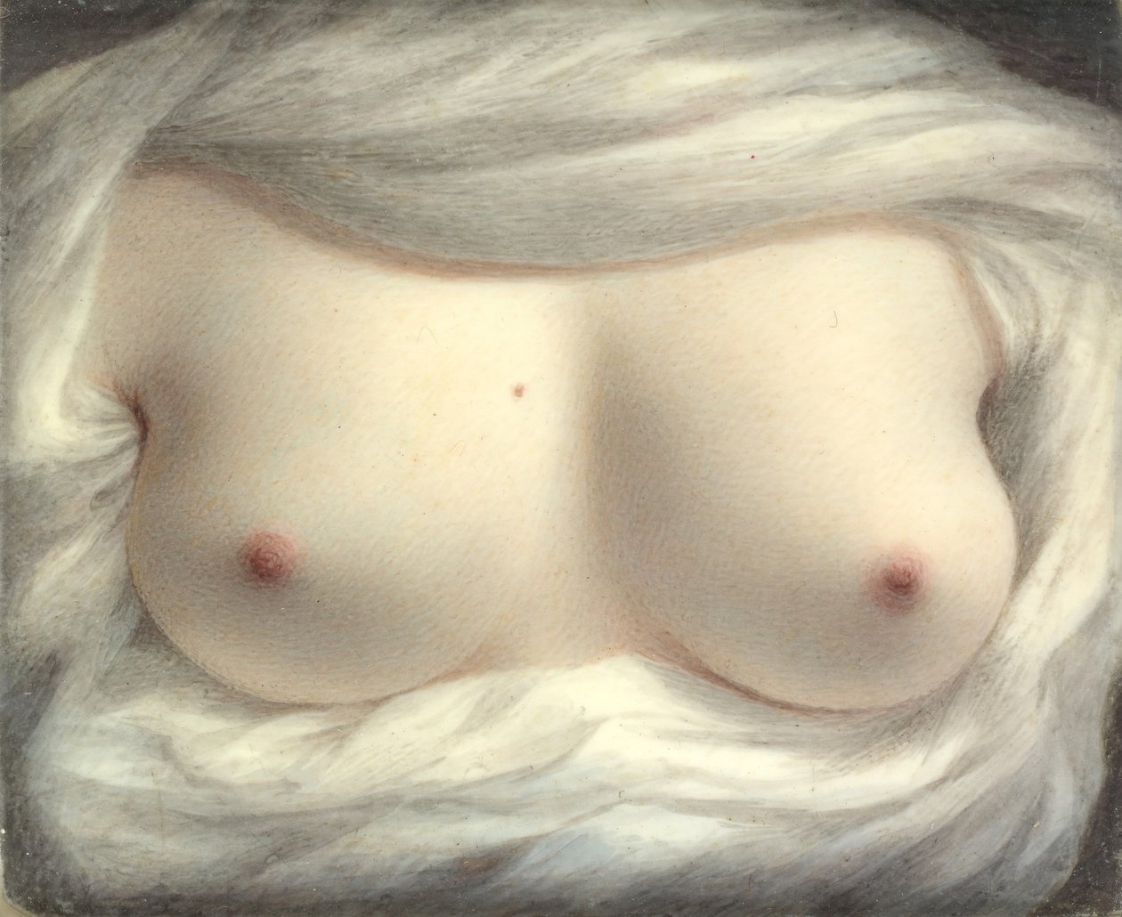 Skjønnhet avslørt, 1828. av Sarah Goodridge