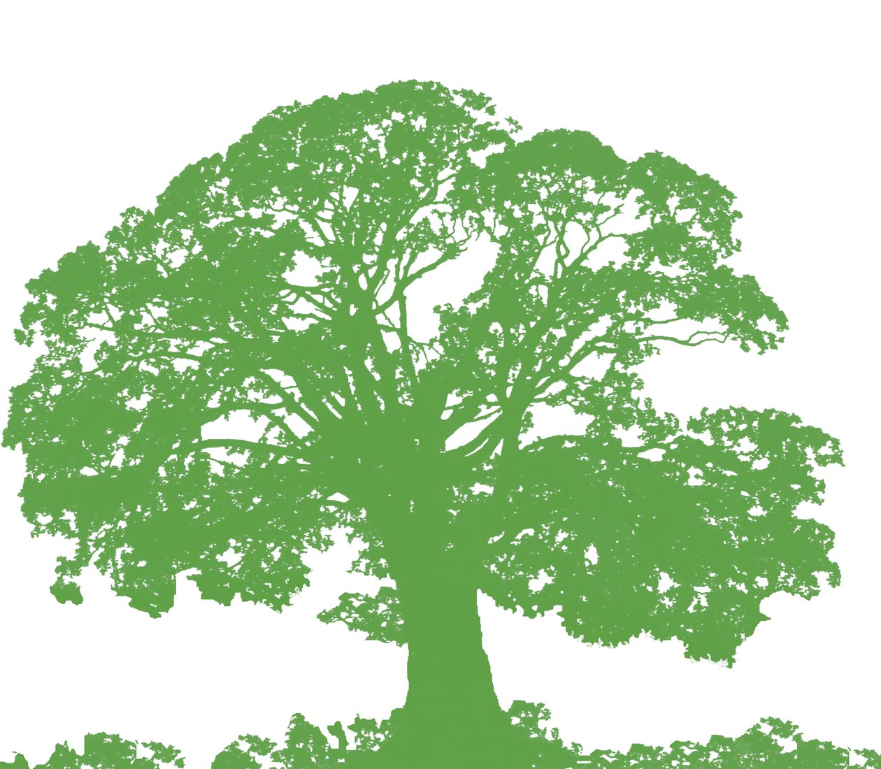 Climbing Tree, 2009 (digital) av Sarah Hough