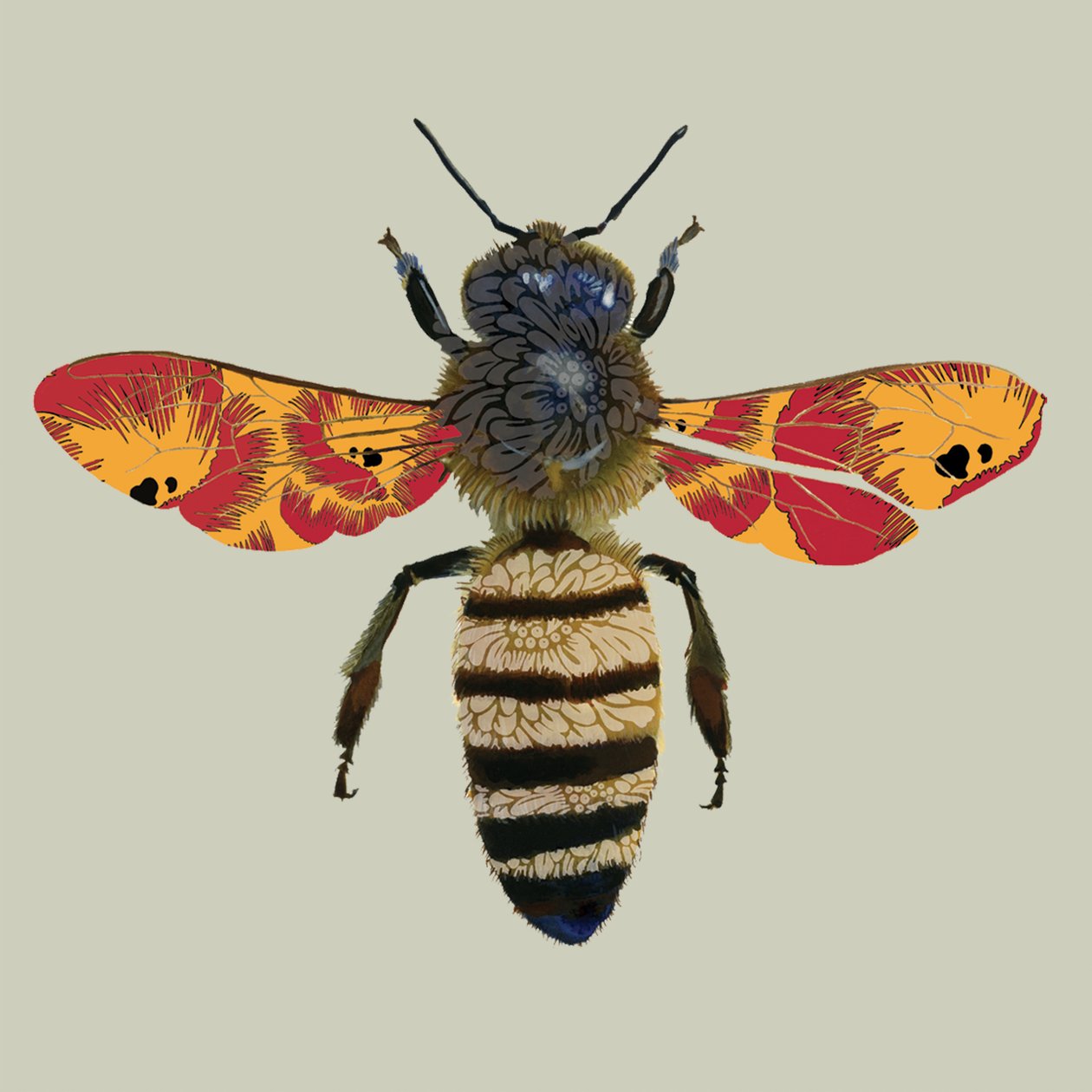 Honey Bee, 2010 (digital) av Sarah Hough