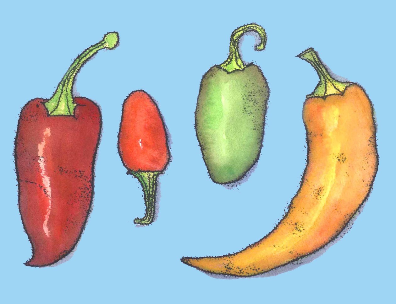Chilipepper, 2013, (monoprint) av Sarah Thompson Engels