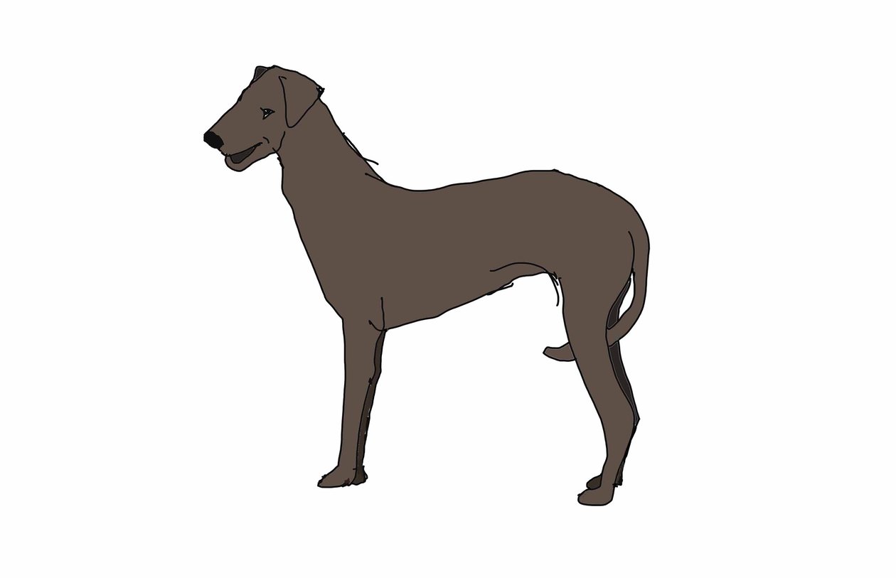 Hound, 2018, (digital tegning) av Sarah Thompson Engels