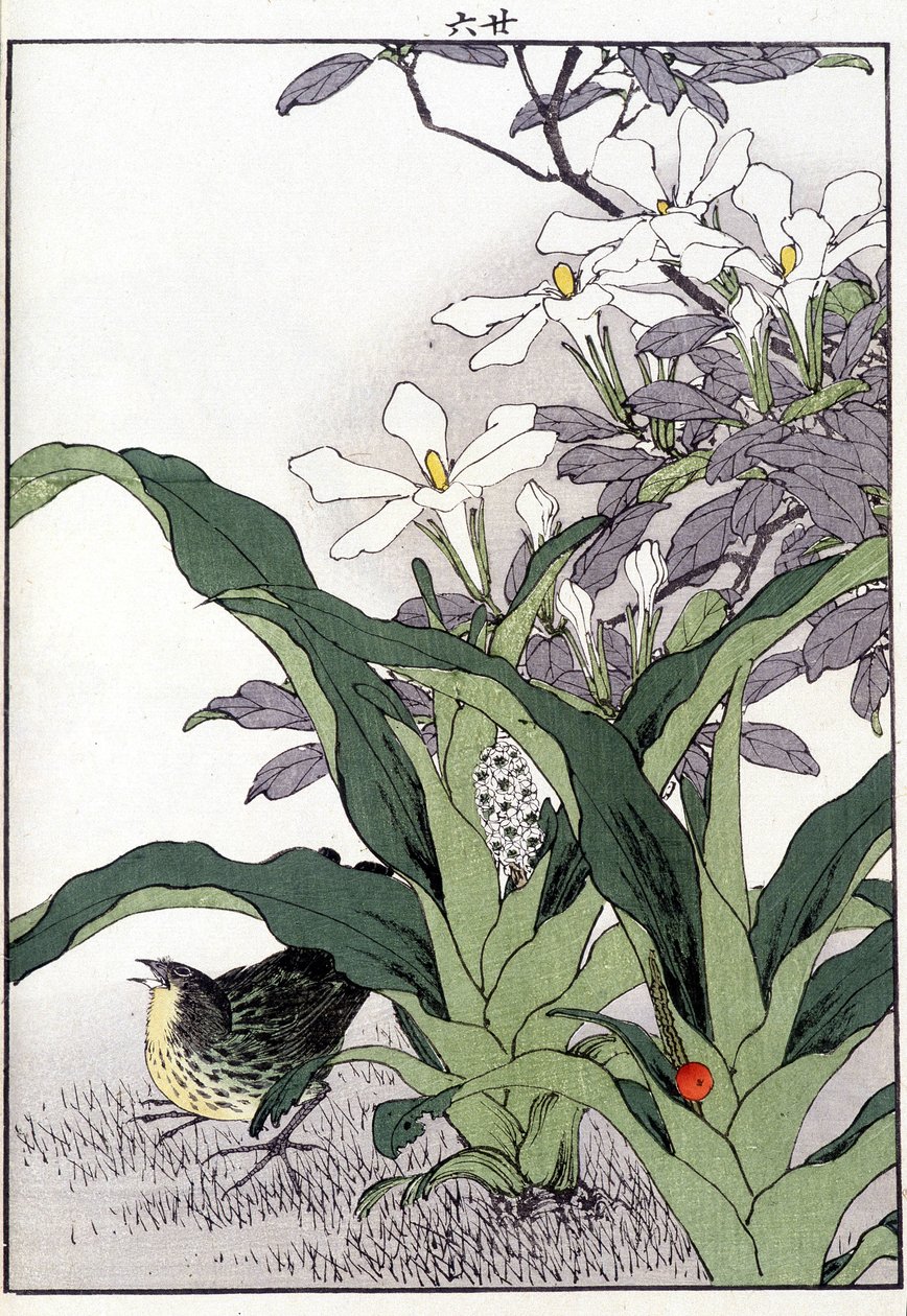 Fugl i blomstene - japansk trykk av Japanese School