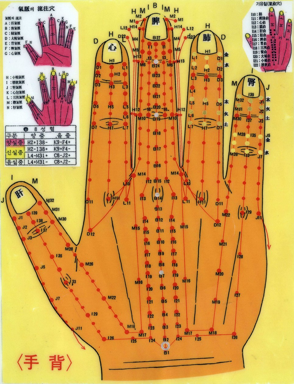 Koreansk akupunkturplate. av School Korean