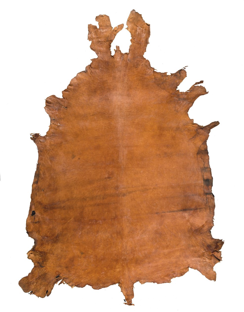 dyreskjul, ca. 1786 (skinn) av School Russian