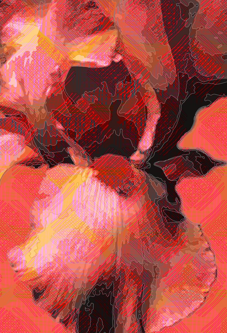 Oransje iris (digital) av Scott J. Davis