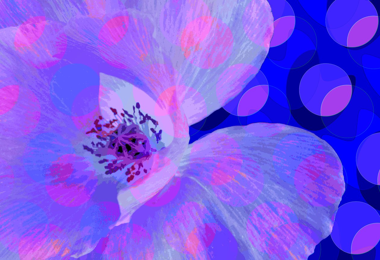 Valmue (digital) av Scott J. Davis