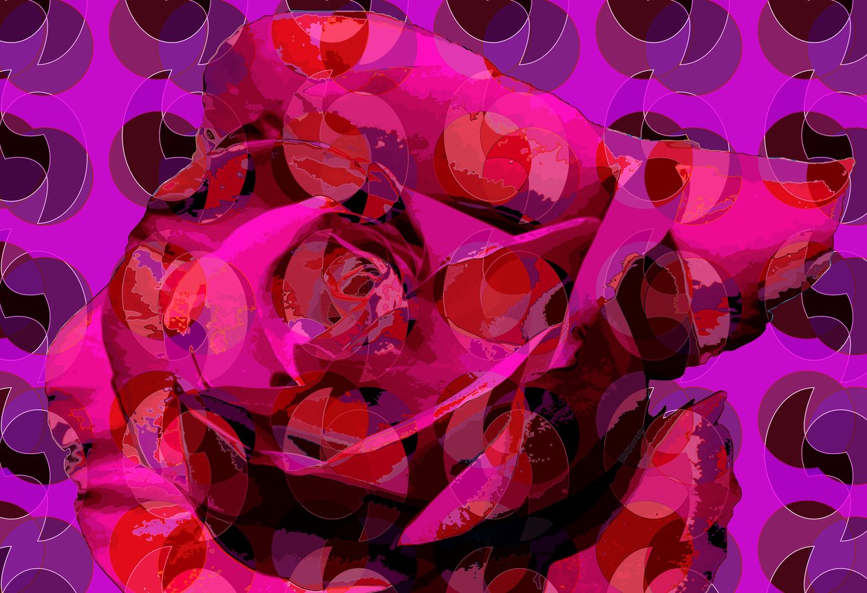 Rose (digital) av Scott J. Davis