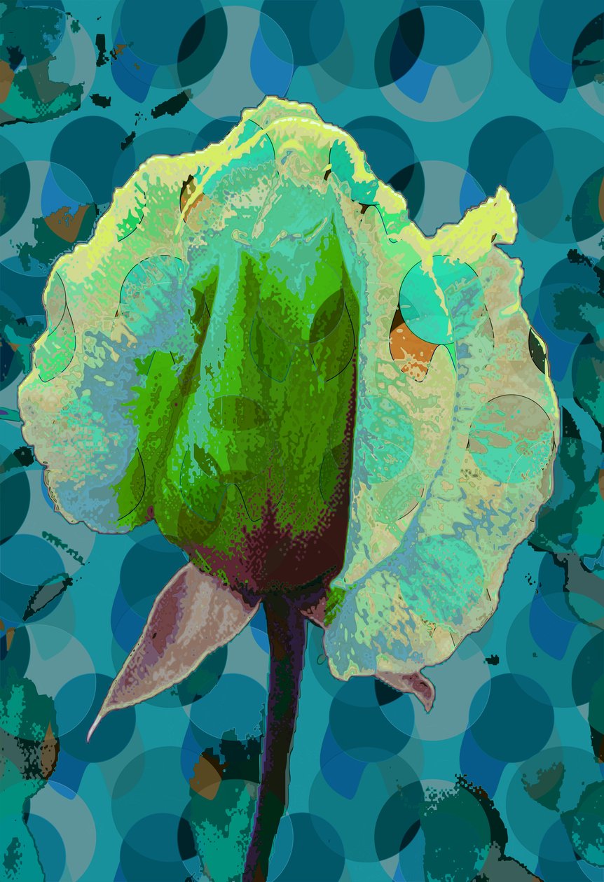 Tea Rose 2 (digital) av Scott J. Davis