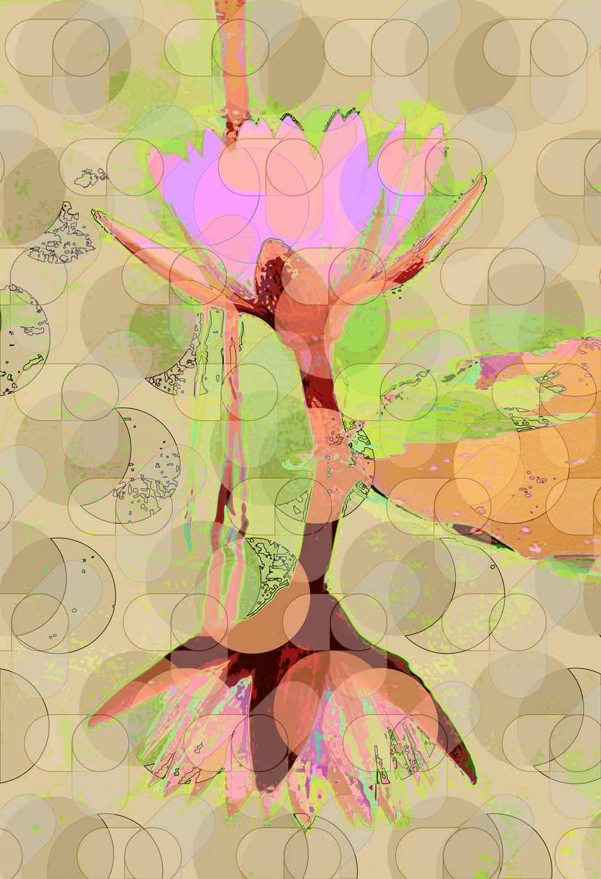 Water Lily Reflection (digital) av Scott J. Davis