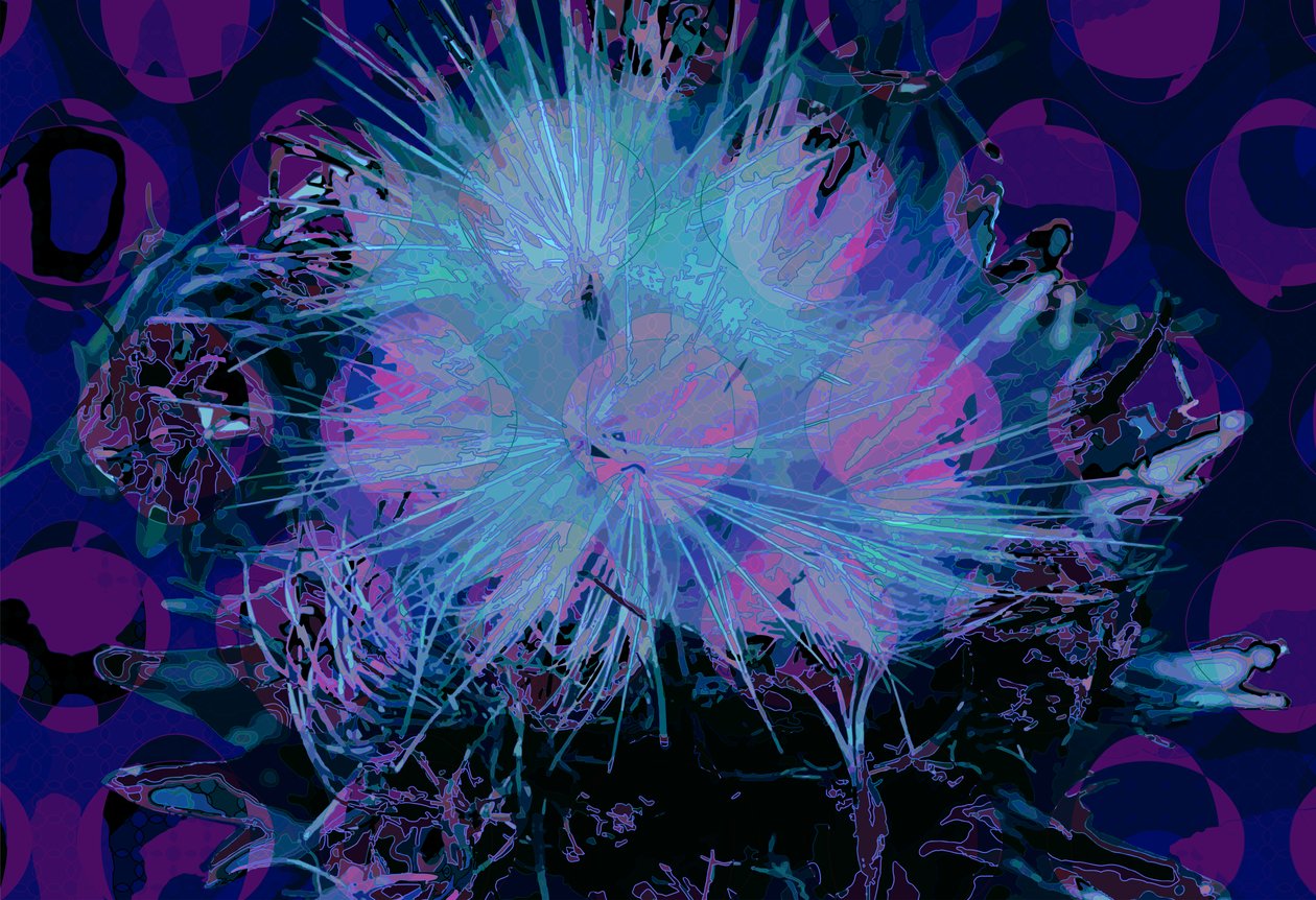 Artisjokk (digital) av Scott J. Davis