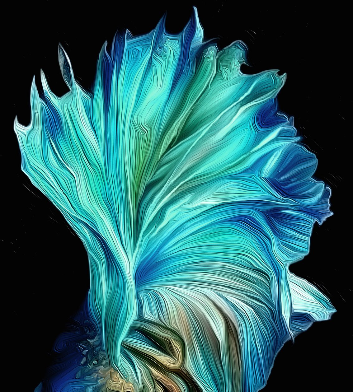 Fan av Scott J. Davis