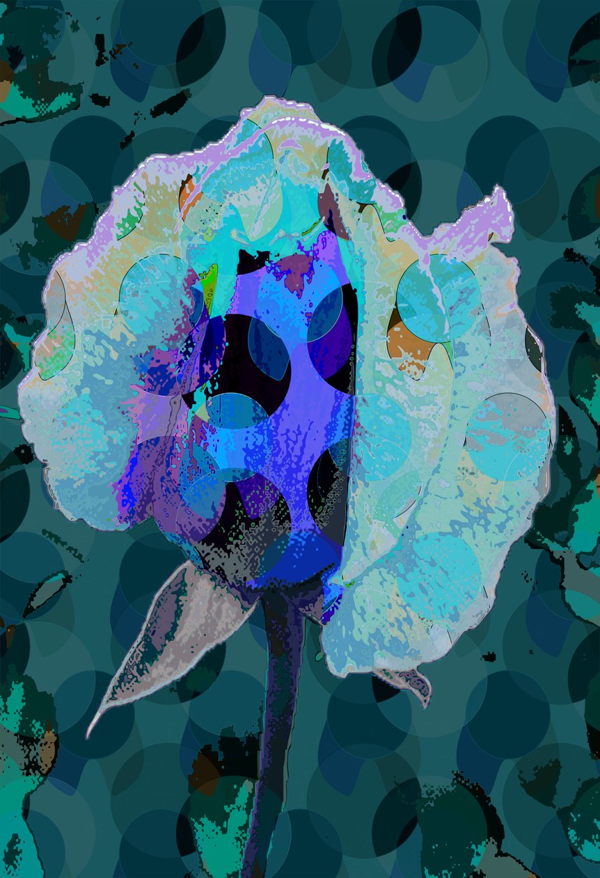 Tea Rose 5B (digital) av Scott J. Davis