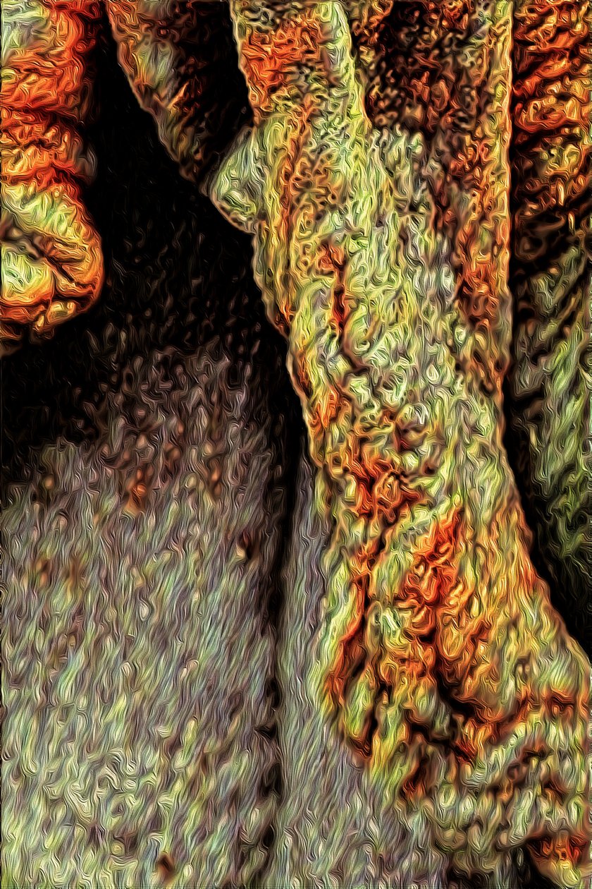 Trestamme, 2021 (digital) av Scott J. Davis