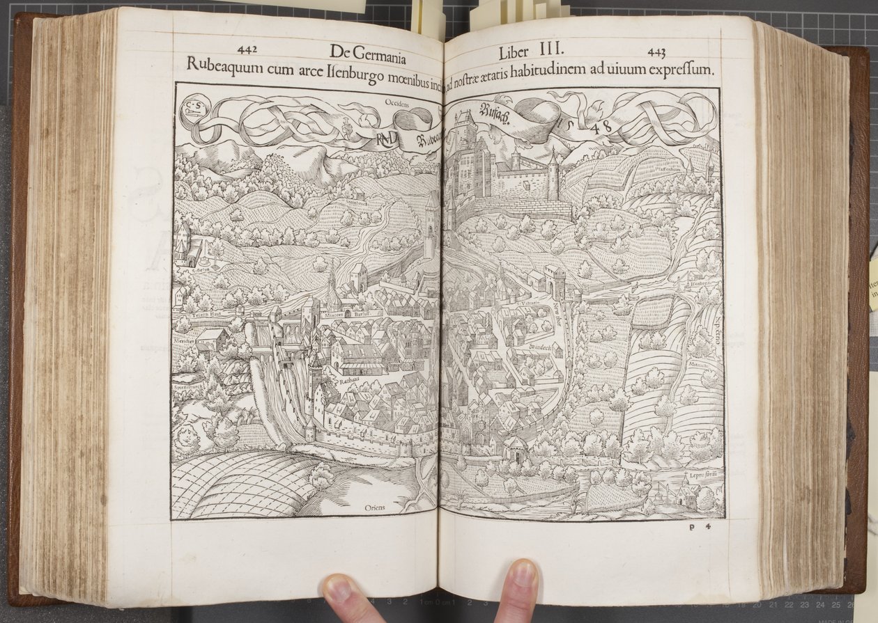Cosmographia, Fols 442-443 av Sebastian Munster