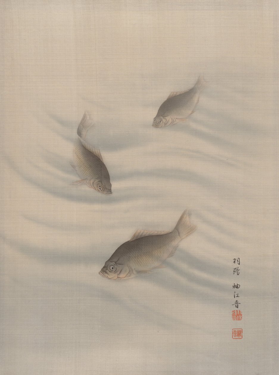 Fisker Svømming, ca. 1890-92. av Seki Shuko
