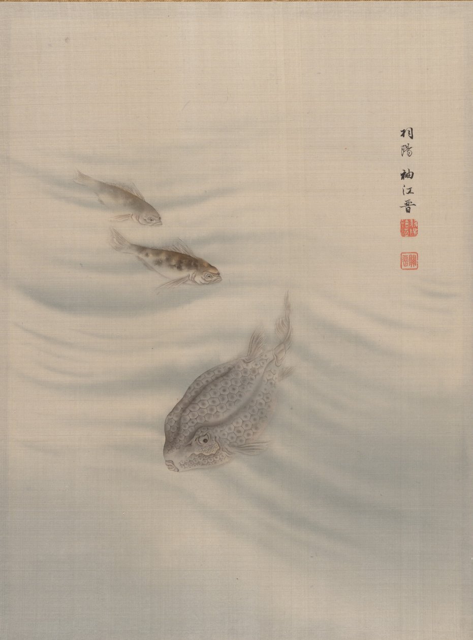 Fisk, ca. 1890-92. av Seki Shuko