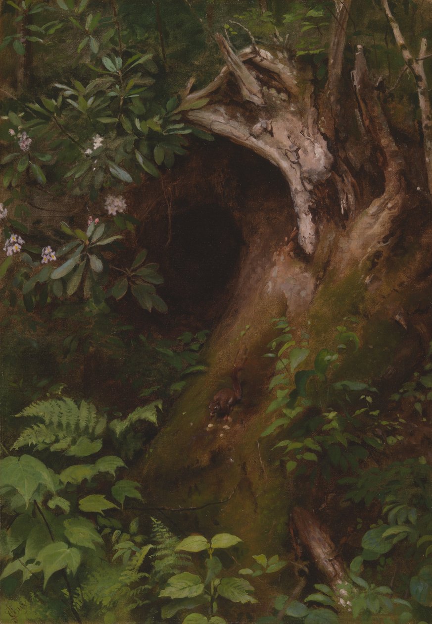 Ekornet av Seymour Joseph Guy