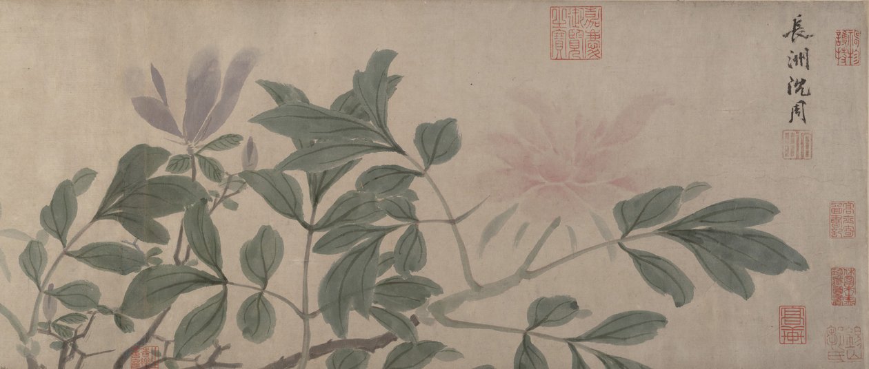 Blomster av de fire årstidene. av Shen Zhou