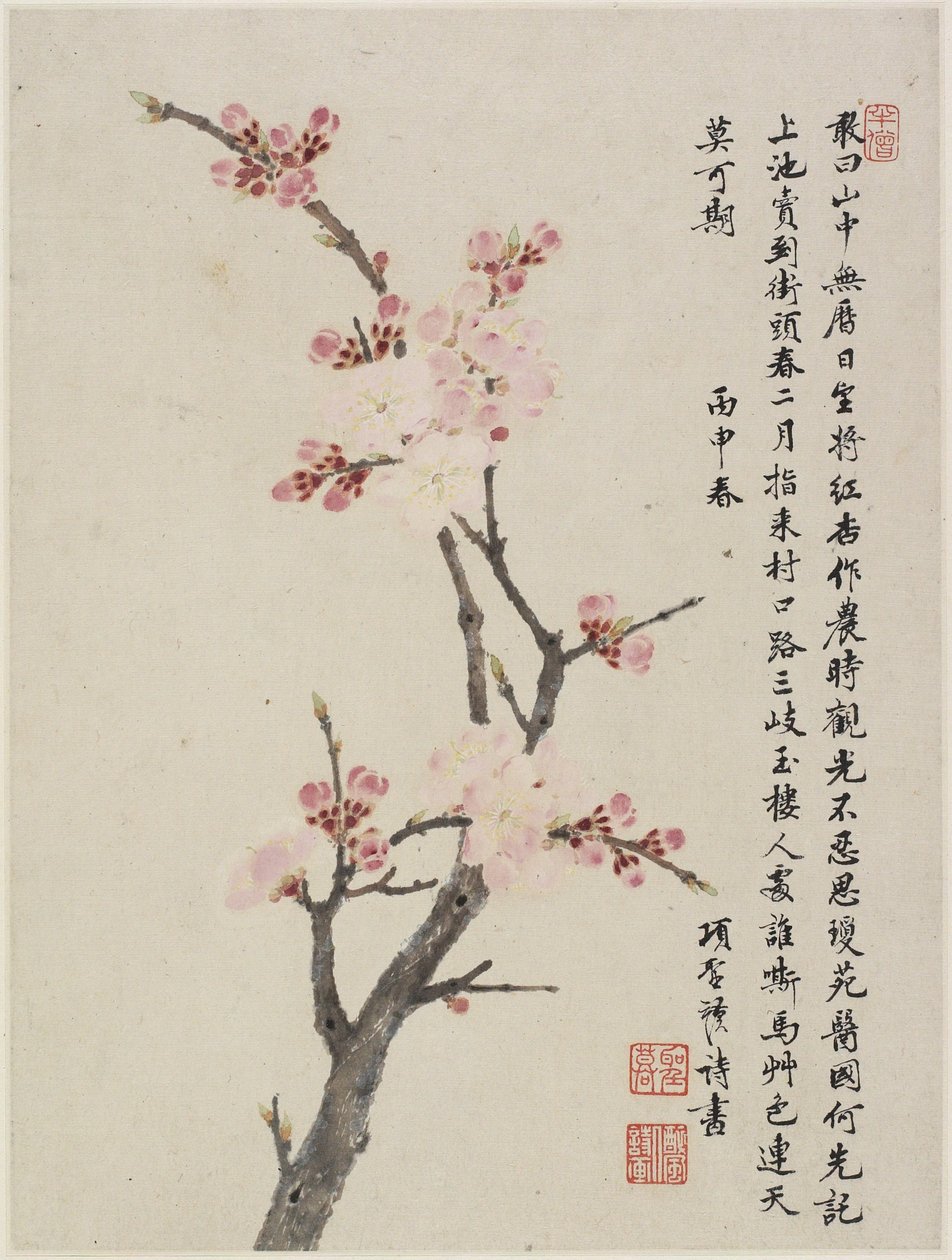 Album of Ten Leaves, 1656 (blekk og farge på papir) av Shengmo Xiang