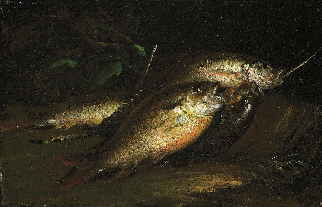 Fisk av Shepard Alonzo Mount