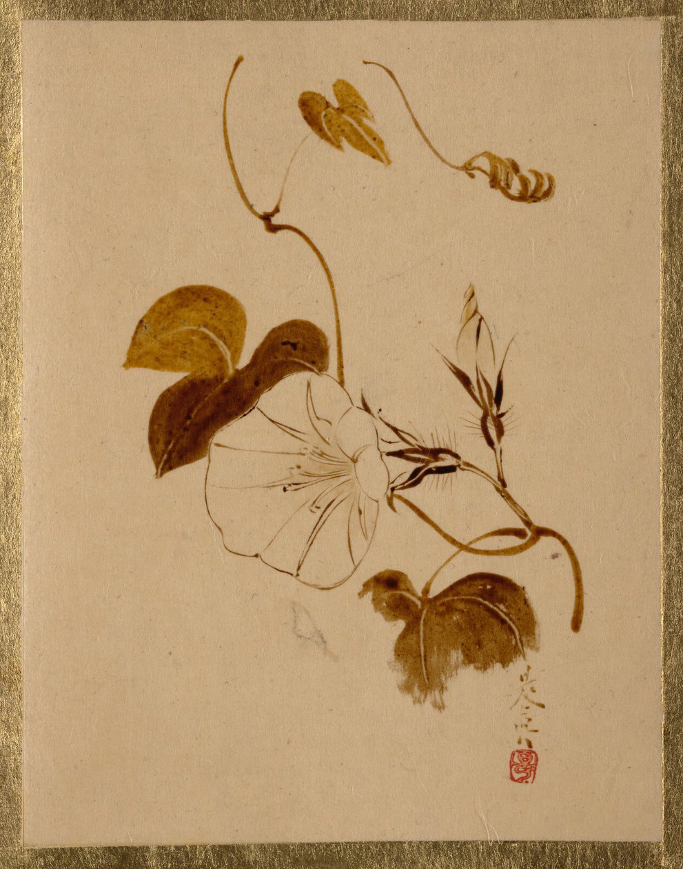 Morning Glory. av Shibata Zeshin