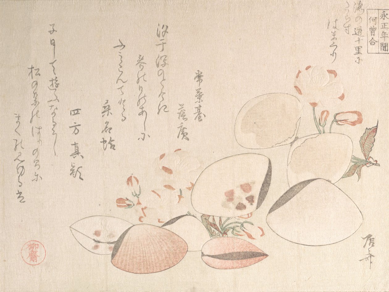 Kirsebærblomster og skjell, 1800-tallet., 1800-tallet. av Shinsai