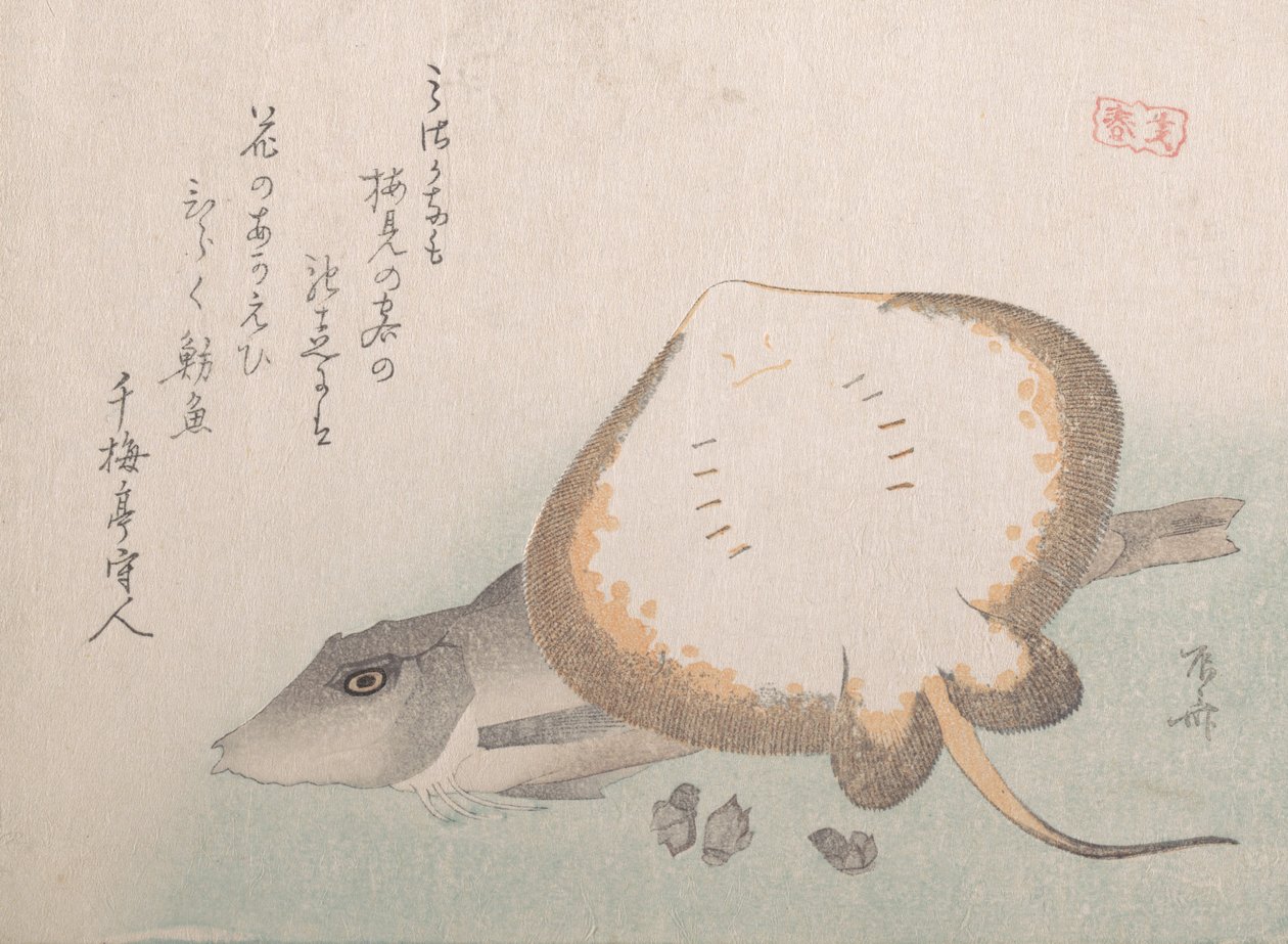 Stingray og Gurnard, sannsynligvis 1815., sannsynligvis 1815. av Shinsai