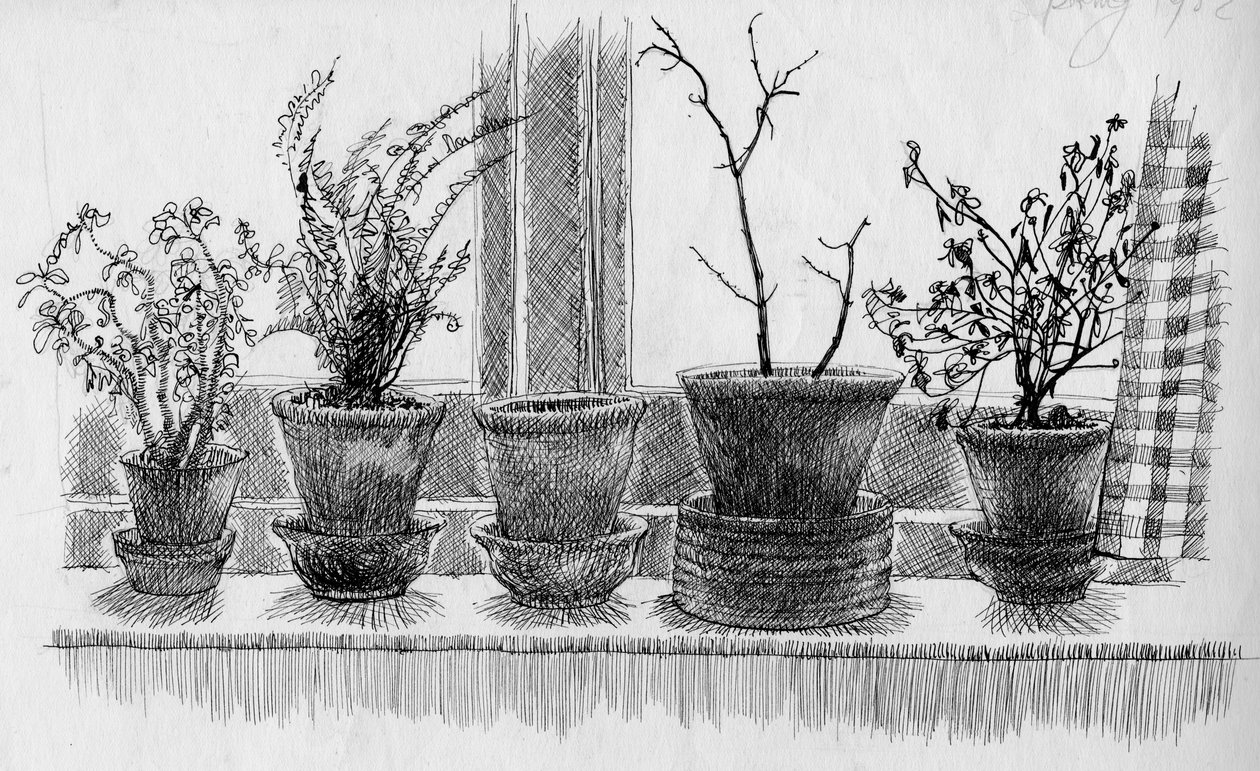 Døde planter på en vinduskarm, 1952. av Shirley Markham