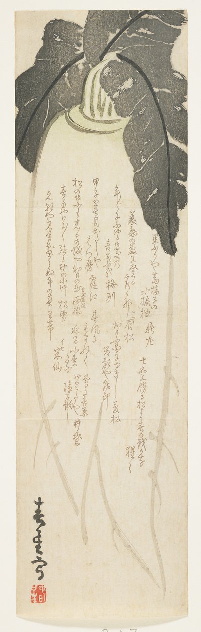 Daikon reddik, januar 1864 (farget treblokktrykk) av Shunsei