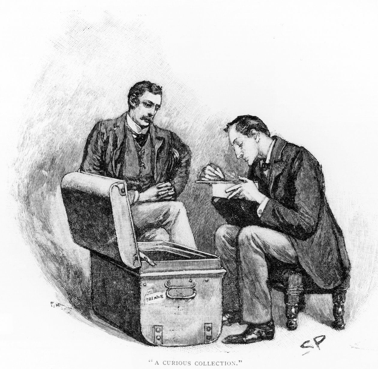 'A Curious Collection', illustrasjon fra 'The Musgrave Ritual' av Arthur Conan Doyle (1859-1930), publisert i 'Strand Magazine', mai 1893 av Sidney Paget