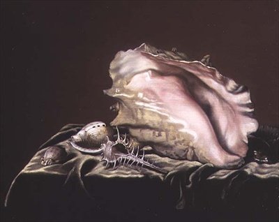 Stilleben av Shells av Simon Renard de Saint Andre