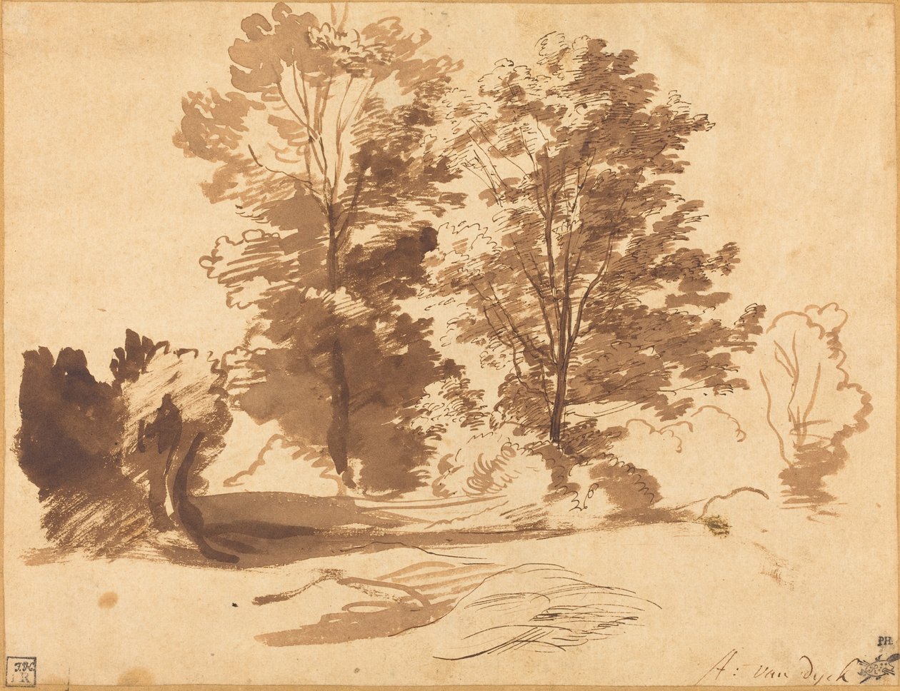 Edge of a Wood av Sir Anthony van Dyck