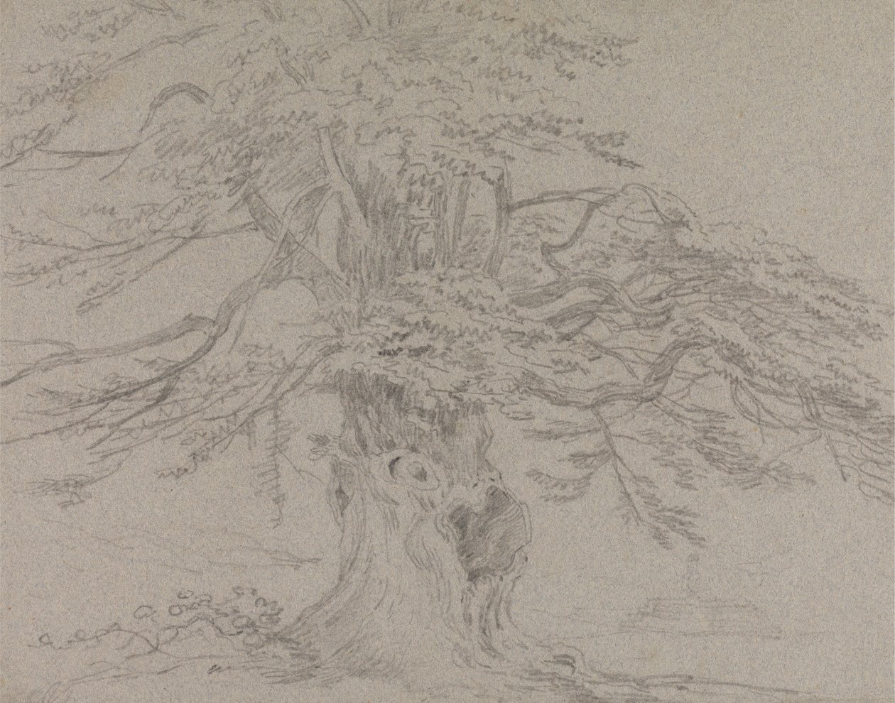 Trestudie av Sir George Howland Beaumont seventh Baronet
