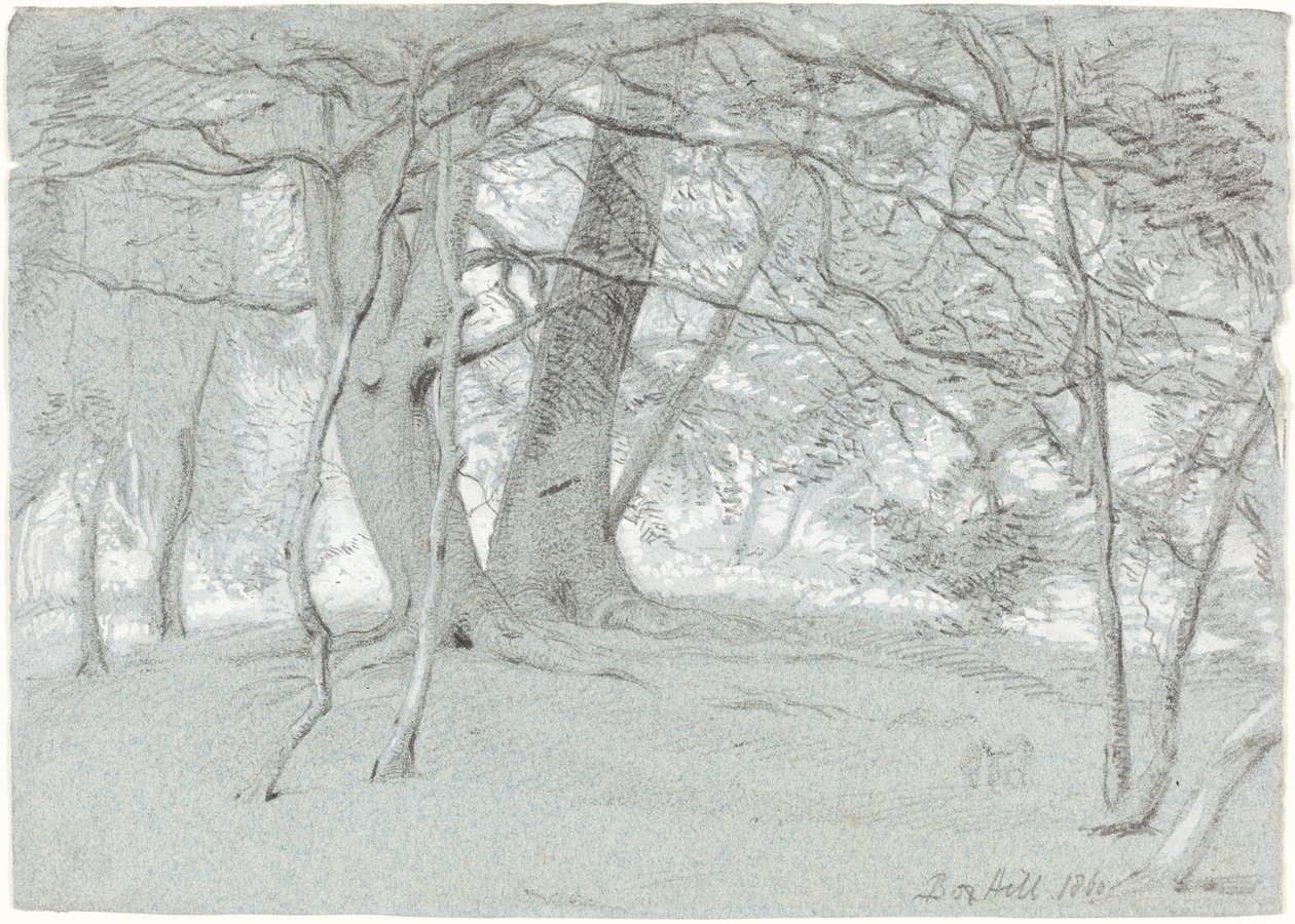 Trær ved Box Hill av Sir William Blake Richmond