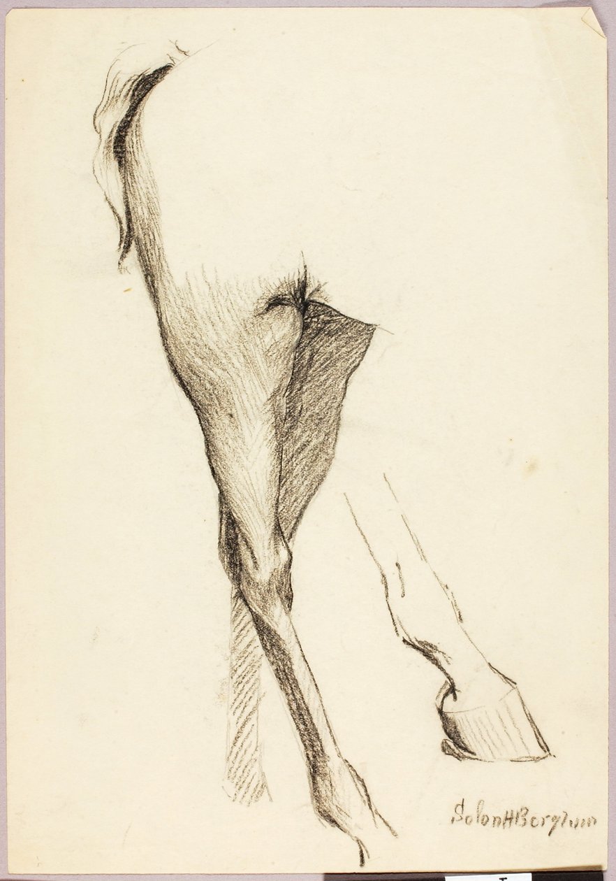  av Solon H. Borglum
