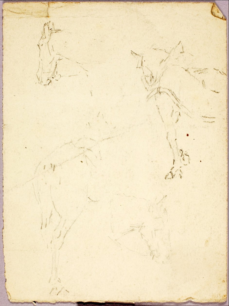  av Solon H. Borglum