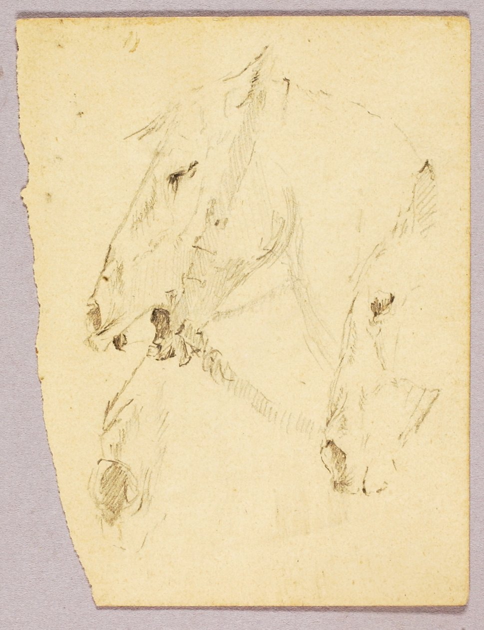  av Solon H. Borglum