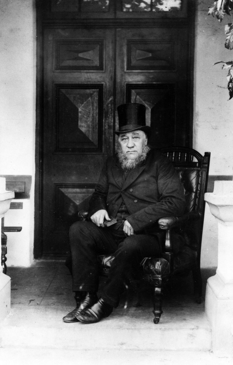 Paul Kruger, ca. 1902-3 av South African Photographer