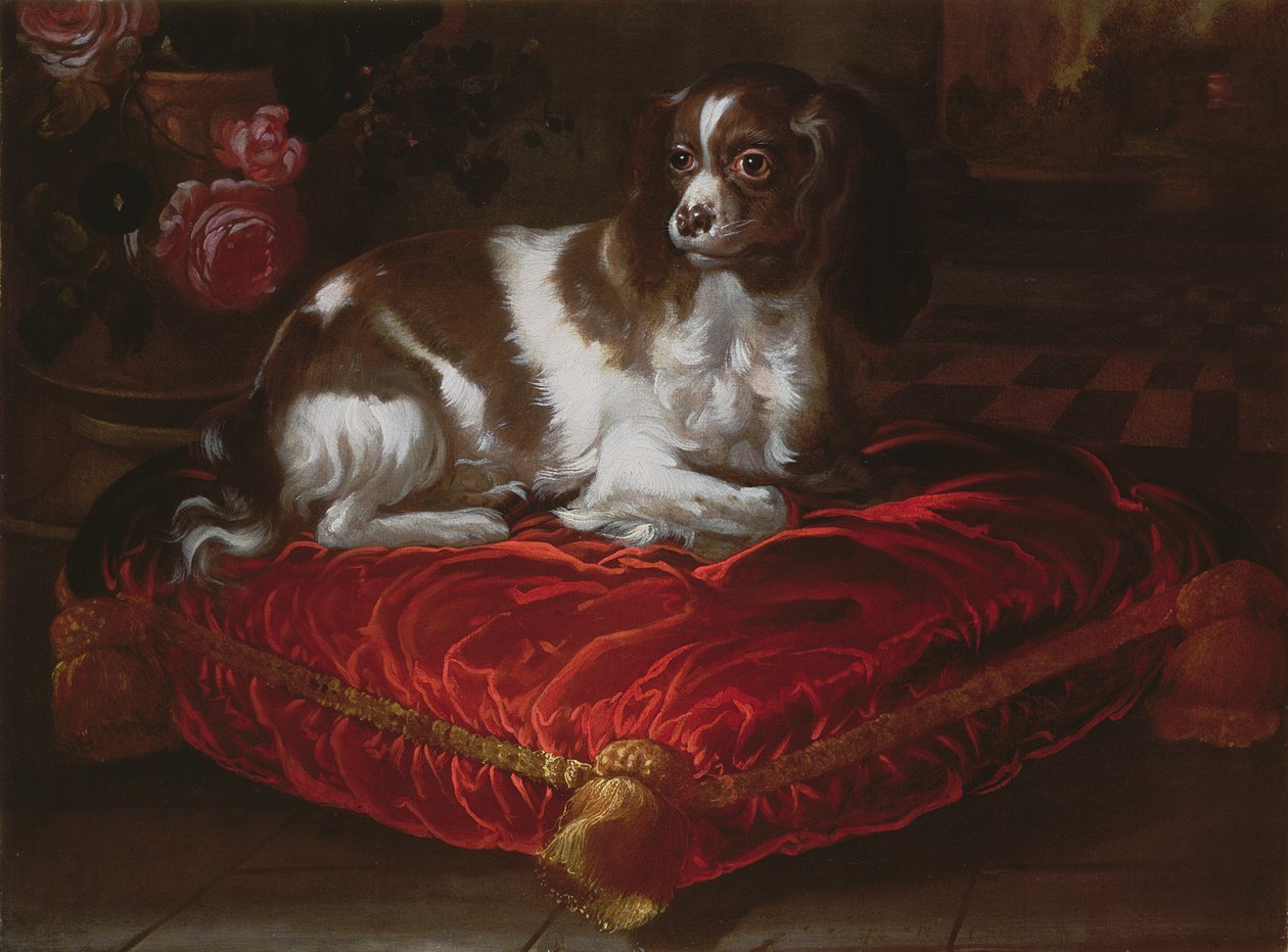 Spaniel på en pute av Spanish School