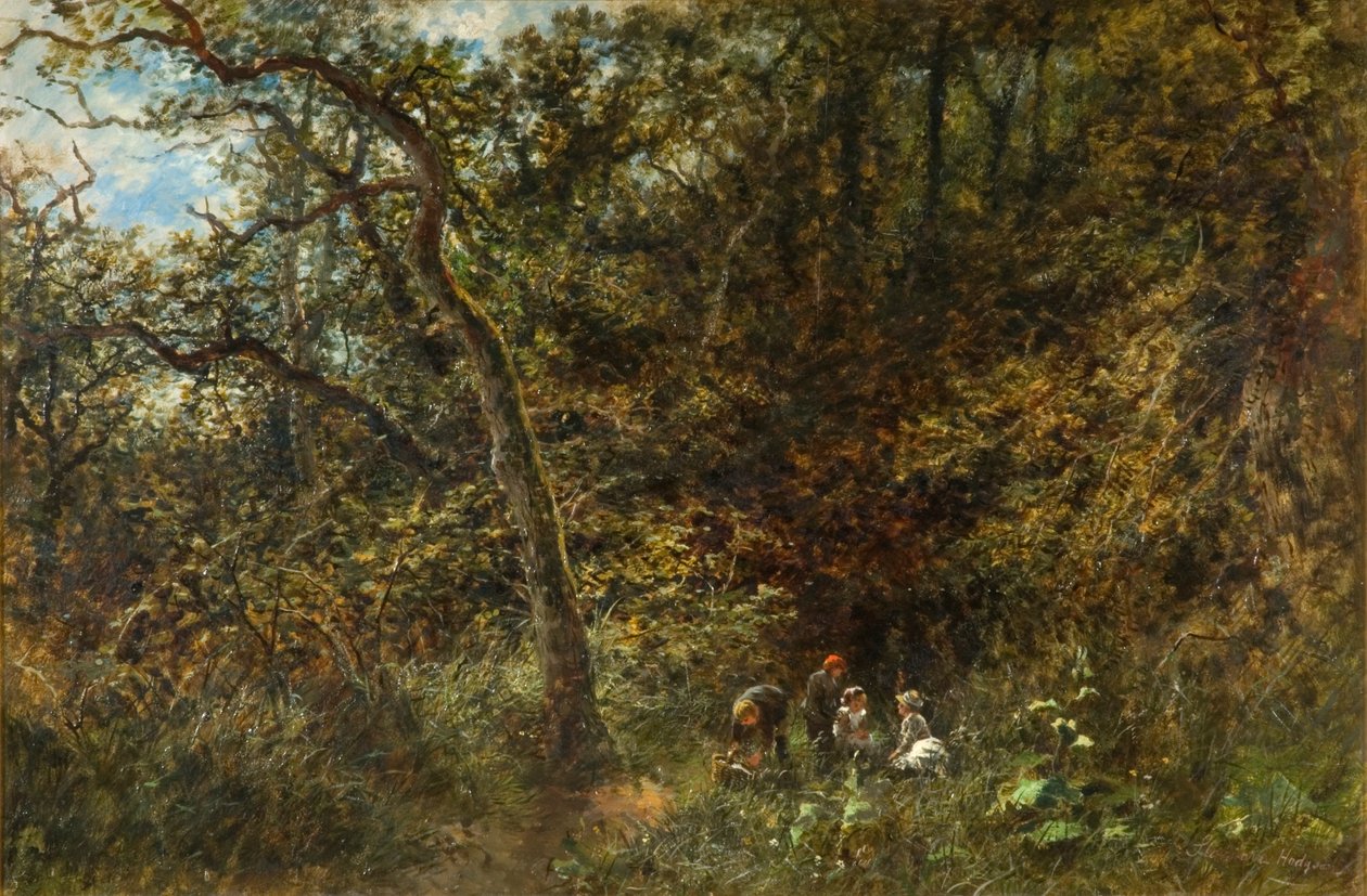 The Young Picknickers av Stannard Hodgson