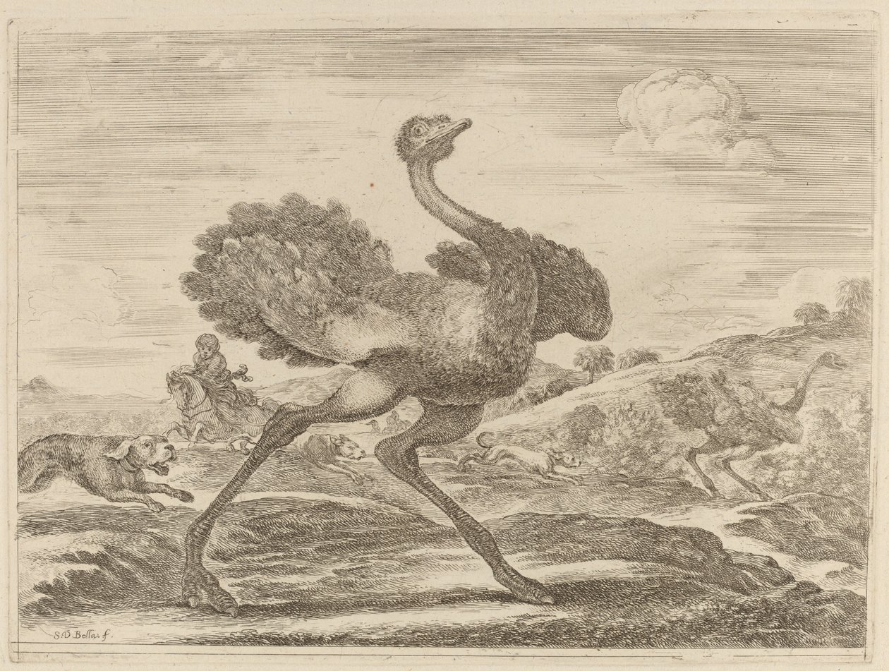 Strutsjakt. av Stefano della Bella