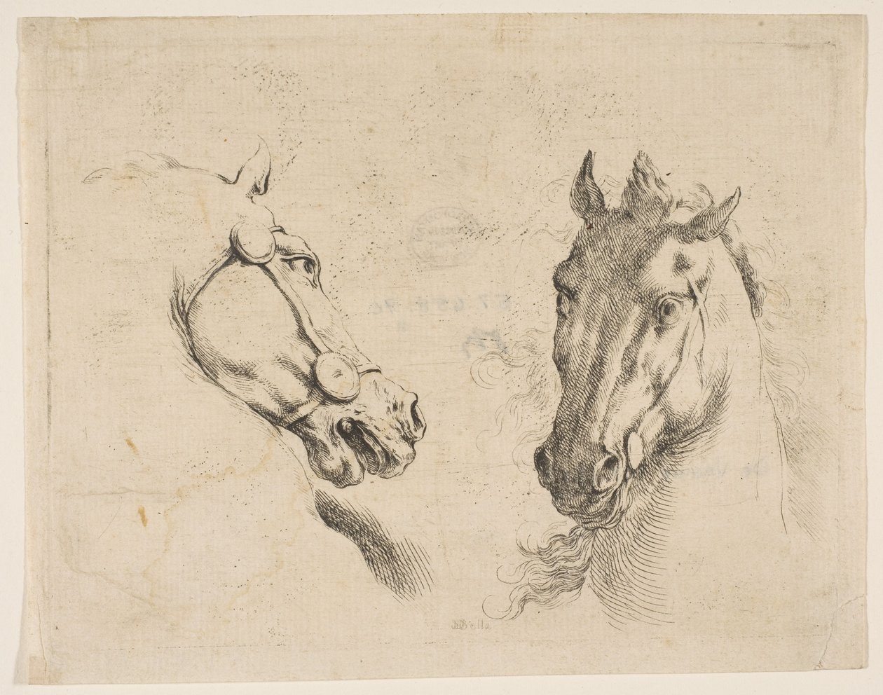 To hestehoder, ca. 1649. av Stefano della Bella