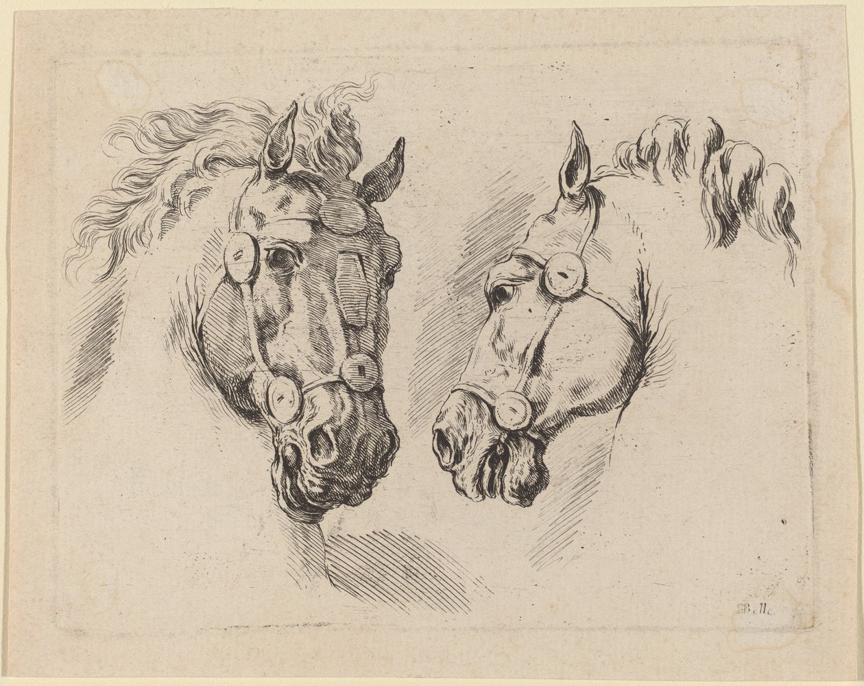 To hestehoder, sannsynligvis 1649. av Stefano della Bella