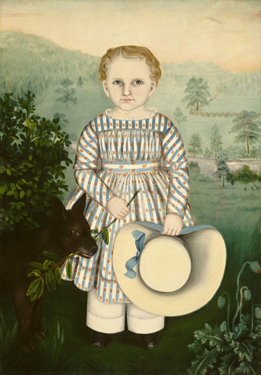 Henry L. Wells av Susan C. Waters