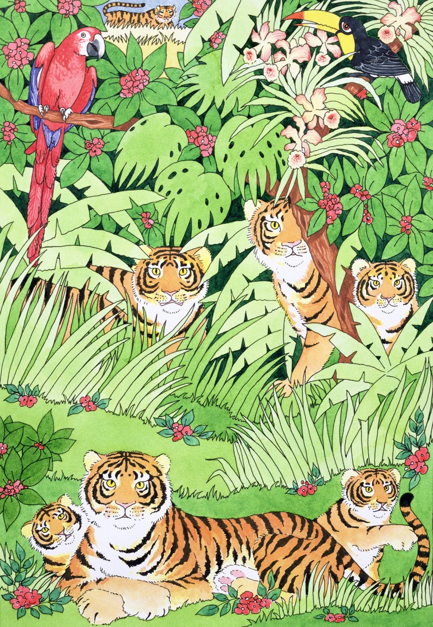 Tigerjungelen av Suzanne Bailey